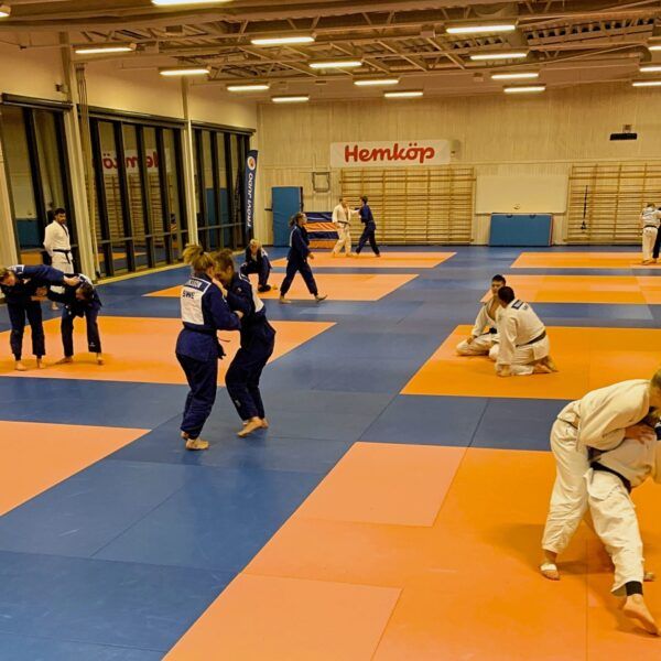 Elever vid judogymnasiet tränar judo.