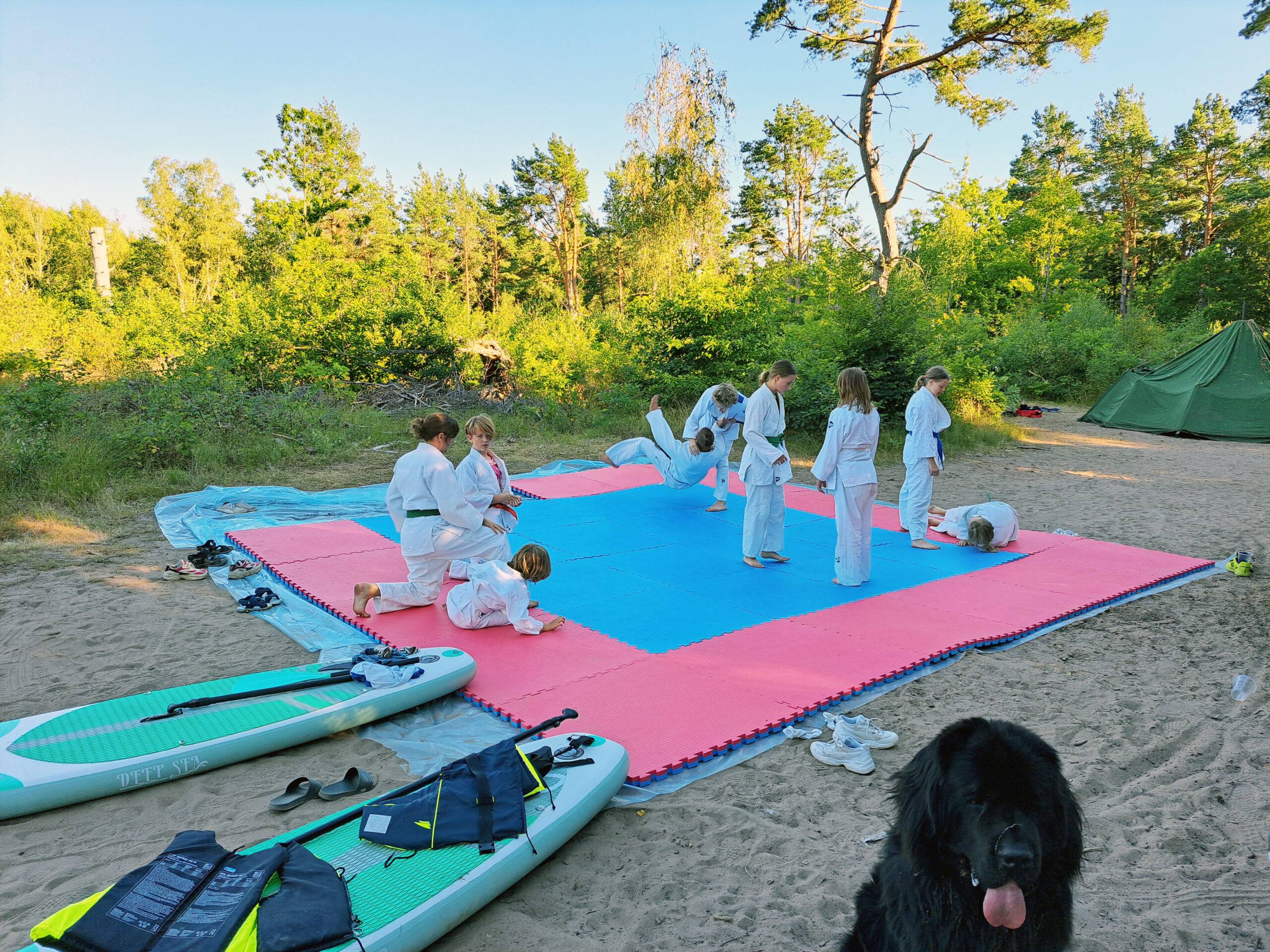Barn tränar judo på judomatta på en strand.
